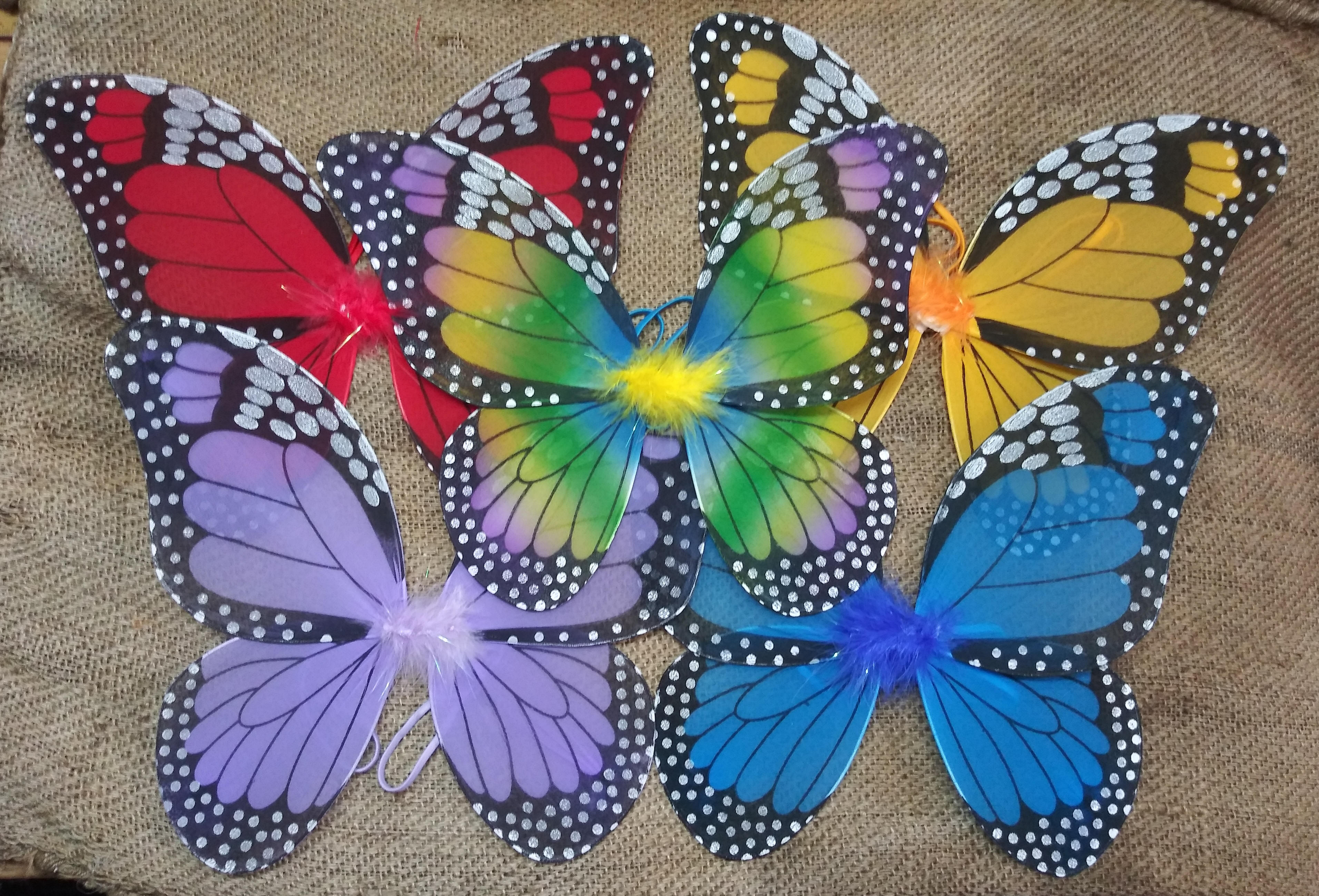 Children's Butterfly Wings
